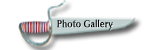 Photo Gallery Link